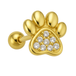 Piercing Ouro 18K Patinha...