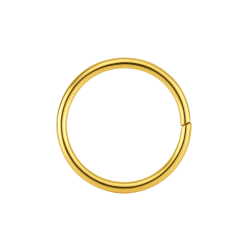 Piercing Ouro 18K Argola De...