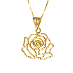 PG.AU.AMA FLOR COM PONTO DE...