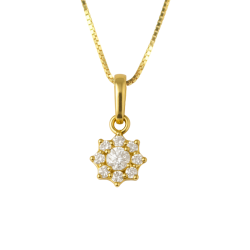PG.AU.AMA.FLOR ZIRCONIAS...