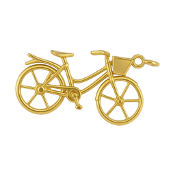 PG.AU.AMA BICICLETA COM...