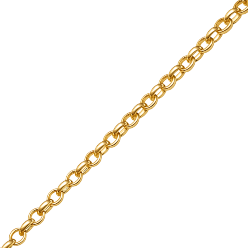 Pulseira Ouro 18K Elo Português 19cm