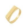 Anel Ouro 18K Chapa