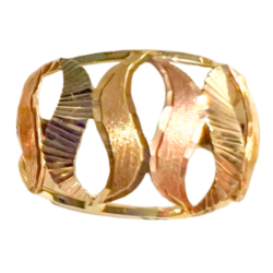 Anel Ouro 18K Bicolor Aro...